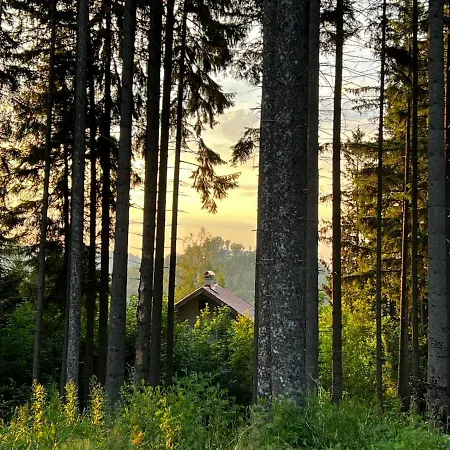 شقة Apartalala, Z Ogrodem كارباش